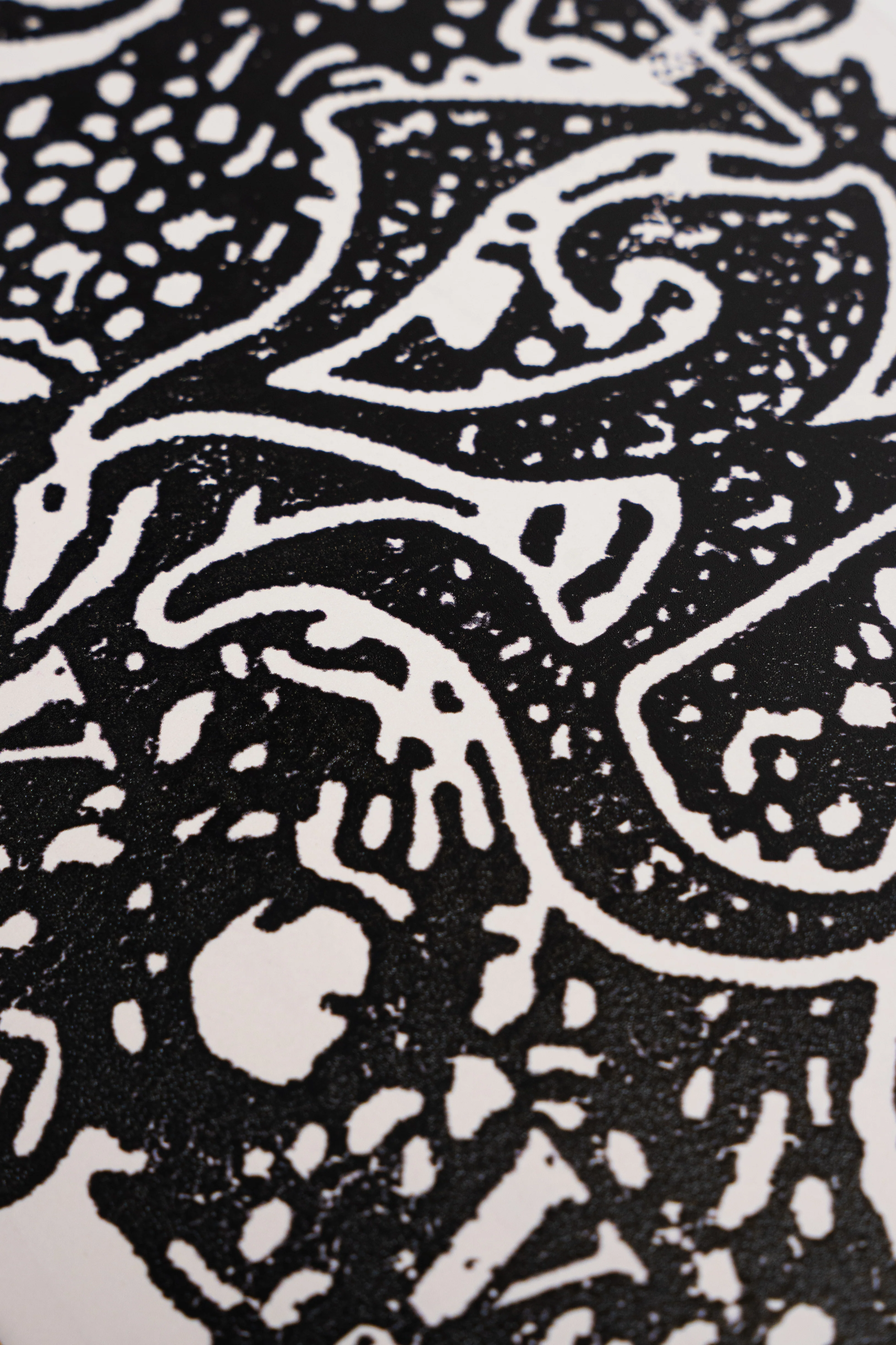V.S.U. GATE KEEPER SKATE DECK - Image 5